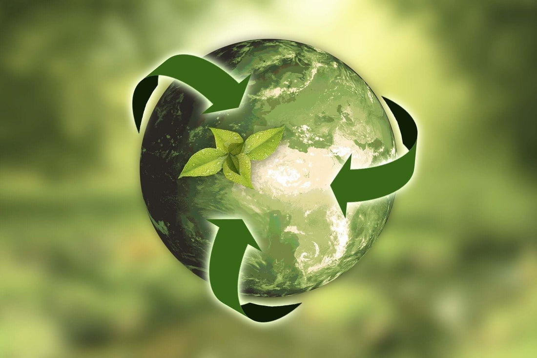 Reducing Our Environmental Footprint - Updated for 2022